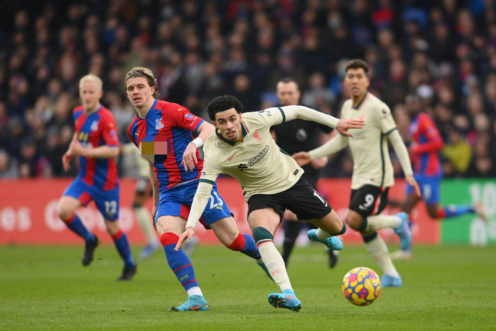 公益培训活 公益培训活